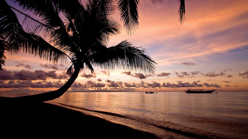Palmen und Strand bei Abenddämmerung