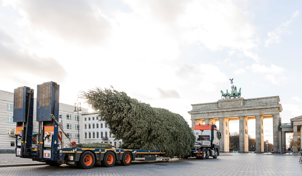 transporter fährt Tannenbaum zum Brandenburger Tor